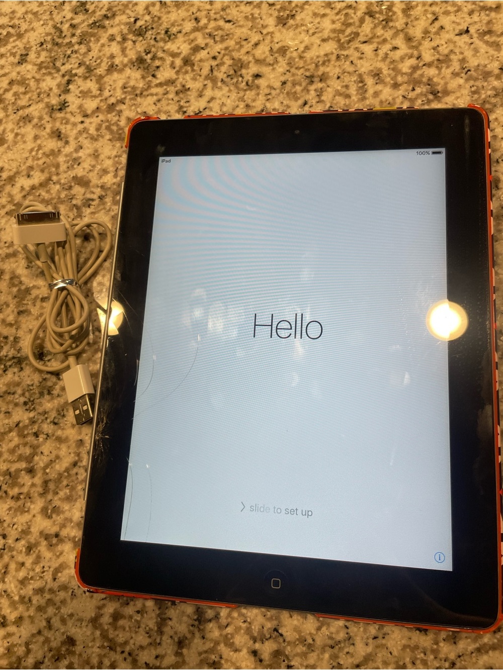 Apple iPad with Charger